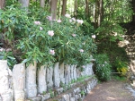 Manganji Temple